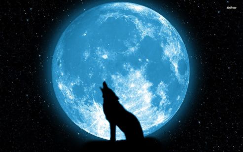 full-blue-moon-wolf-wallpaper-2